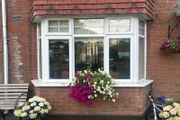 Bay Windows