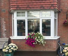 Bay Windows
