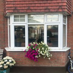 Bay Windows