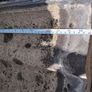 Concrete Roof Tiles Image 2