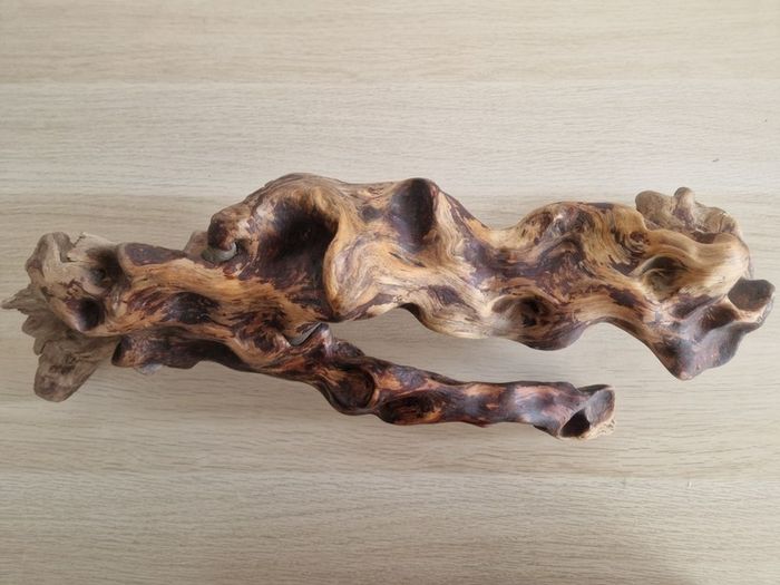 driftwood