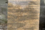 Prada gold Granite slab , Hearth or worktop