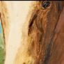 Large oil painting of a horse 1956 Image 2