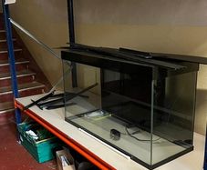 Fish Tank 4ft