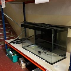 Fish Tank 4ft