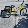 adult tricycle Image 5