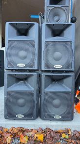 Gemini Speaker's