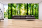 Non-woven Wall Mural / Photo Wallpaper