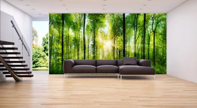 Non-woven Wall Mural / Photo Wallpaper
