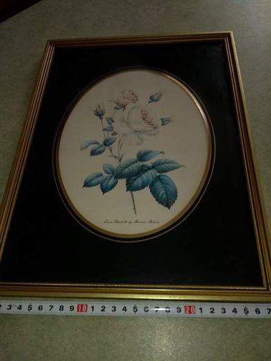 Lovely picture of still life of blue flower.