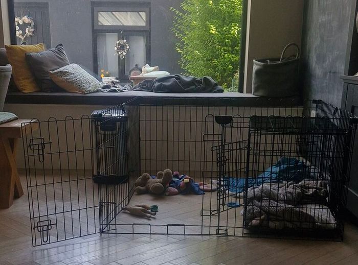 Dog Pen