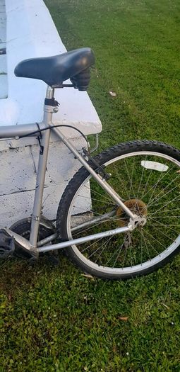 2 bikes for sale, need work