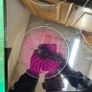 Dimplex cooking hob Image 8