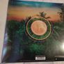 New Sealed Empire of the Sun Two Vines Vinyl Image 3