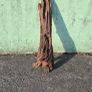 drift wood Image 2