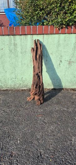 drift wood