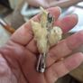 Vintage Irish Claw Brooch Image 2