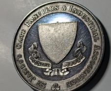 Unique Guinness Silver Medal