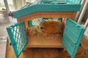 my little live pet