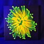 UV Blacklight Coral Reef Wall Art Painting Image 8