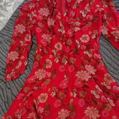 Zara Red Dress  Size 10