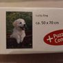 Lucky Dog 1000pc Jigsaw Puzzle Image 5