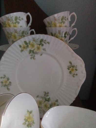 Duchess 21 Piece "Sharron" Teaset