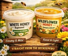 Organic Honey  directly from honey farm Lithuania
