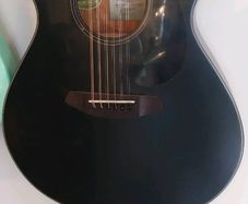 Breedlove Discovery Concert 12 string guitar