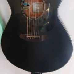 Breedlove Discovery Concert 12 string guitar
