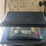 Fish tank Image 4