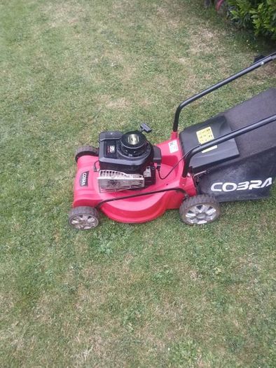Cobra Push Lawnmower