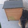 Large dog kennel , Image 3