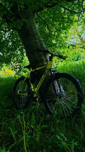 Bentini 26" Mountain Bike