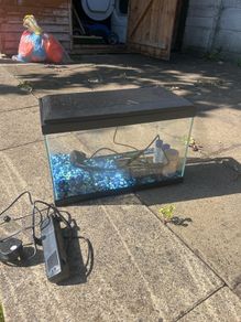 fish tank
