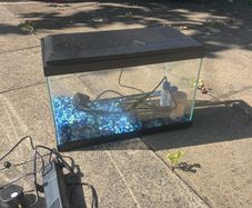 fish tank