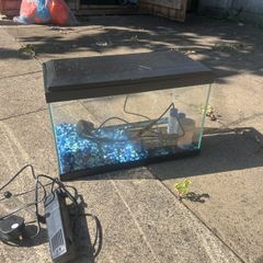fish tank
