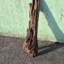 drift wood Image 3