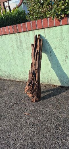 drift wood