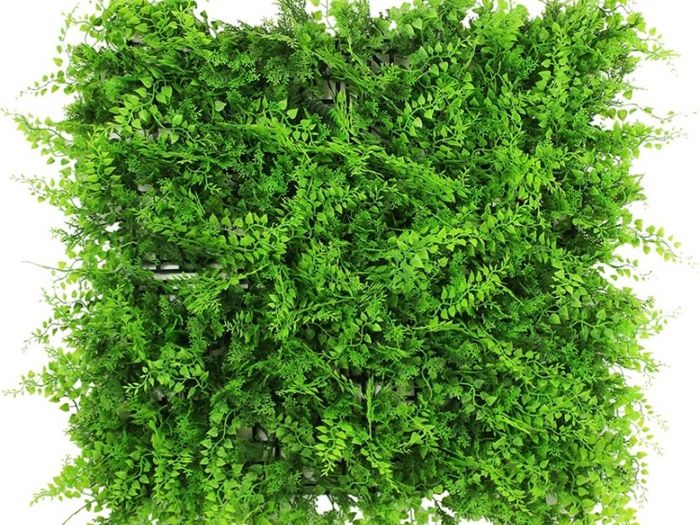 Artificial Plant Wall Panels, 6pcs Fern Greenery, Ivy Privacy Hedge Fence Screening, Home Garden Outdoor Wall Decoration 50 x 50cm (FREE POSTAGE)
