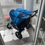 buggy Image 5