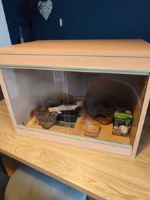 terrarium