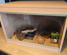 terrarium