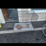 Large dog cage Image 3