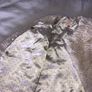 John Rocha furry jacket Image 5