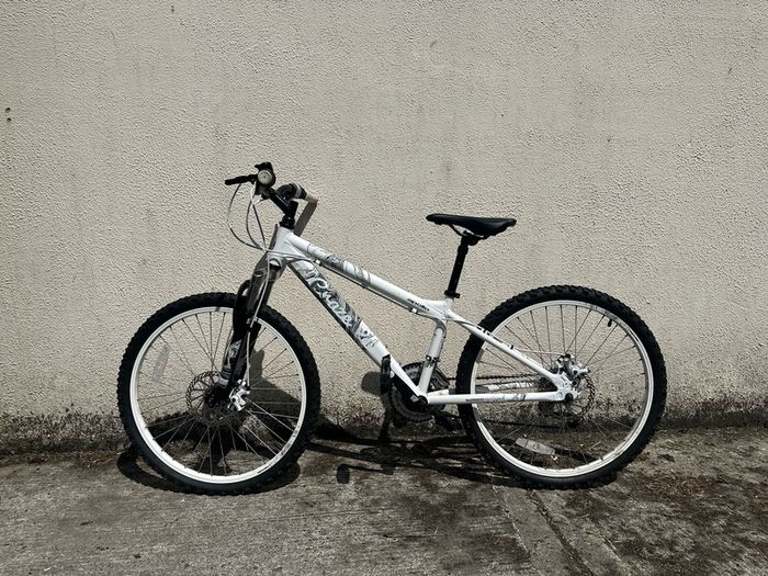 Apollo Craze kids bike