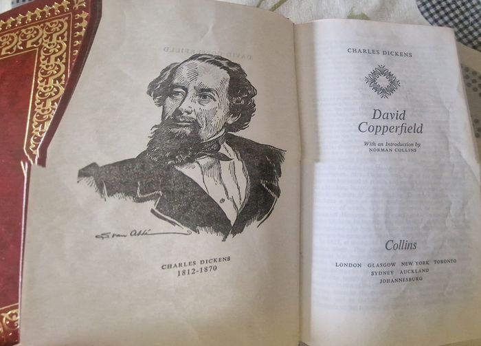 Vintage Charles Dickens books 6