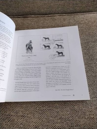 The Irish Draught Horse by Mary McGrath and Joan C Griffith 2005 in very good condition with some signs of wear on the cover see photos FREE STANDARD POSTAGE INCLUDED