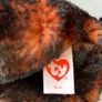 TY Beanie Bear Kodi Image 2