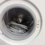 Indesit washing machine Image 2